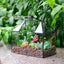 Maceta vidrio terrario con tapa 9.8x7.9x5.9pulg