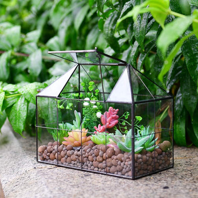 Maceta vidrio terrario con tapa 9.8x7.9x5.9pulg