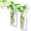 2 Pzas Macetas Colgantes Oval Vidrio Pared