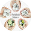 Rocas blancas mate 5lb para plantas 2-3" decorativas