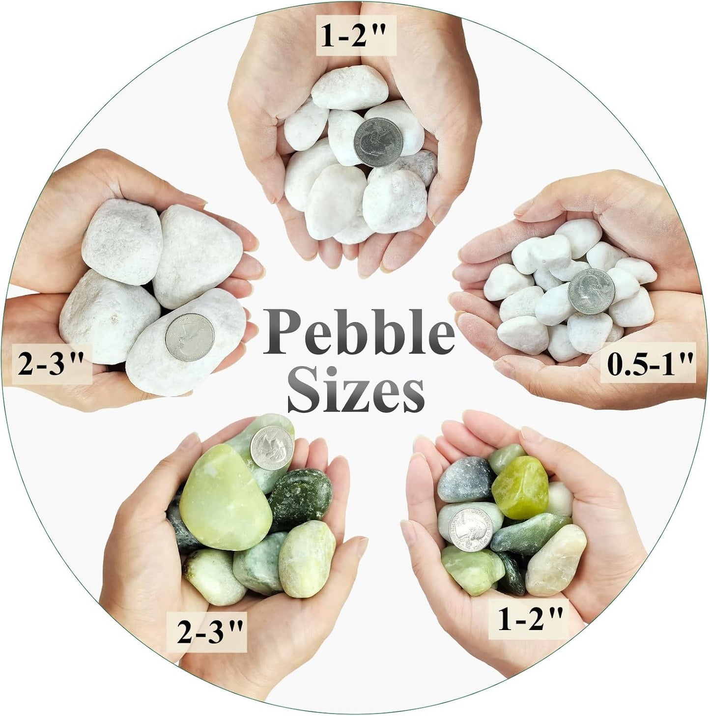 Rocas blancas mate 5lb para plantas 2-3" decorativas