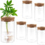 Jarrón cristal terrario propagación plantas 6 pzas con tapa corcho