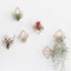 6 Soportes Metal Oro Rosa para Plantas Decoración
