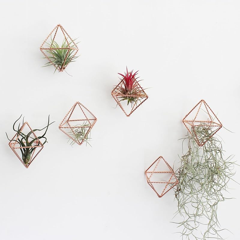 6 Soportes Metal Oro Rosa para Plantas Decoración