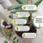 Vermiculita orgánica gruesa para plantas jardinería y hongos