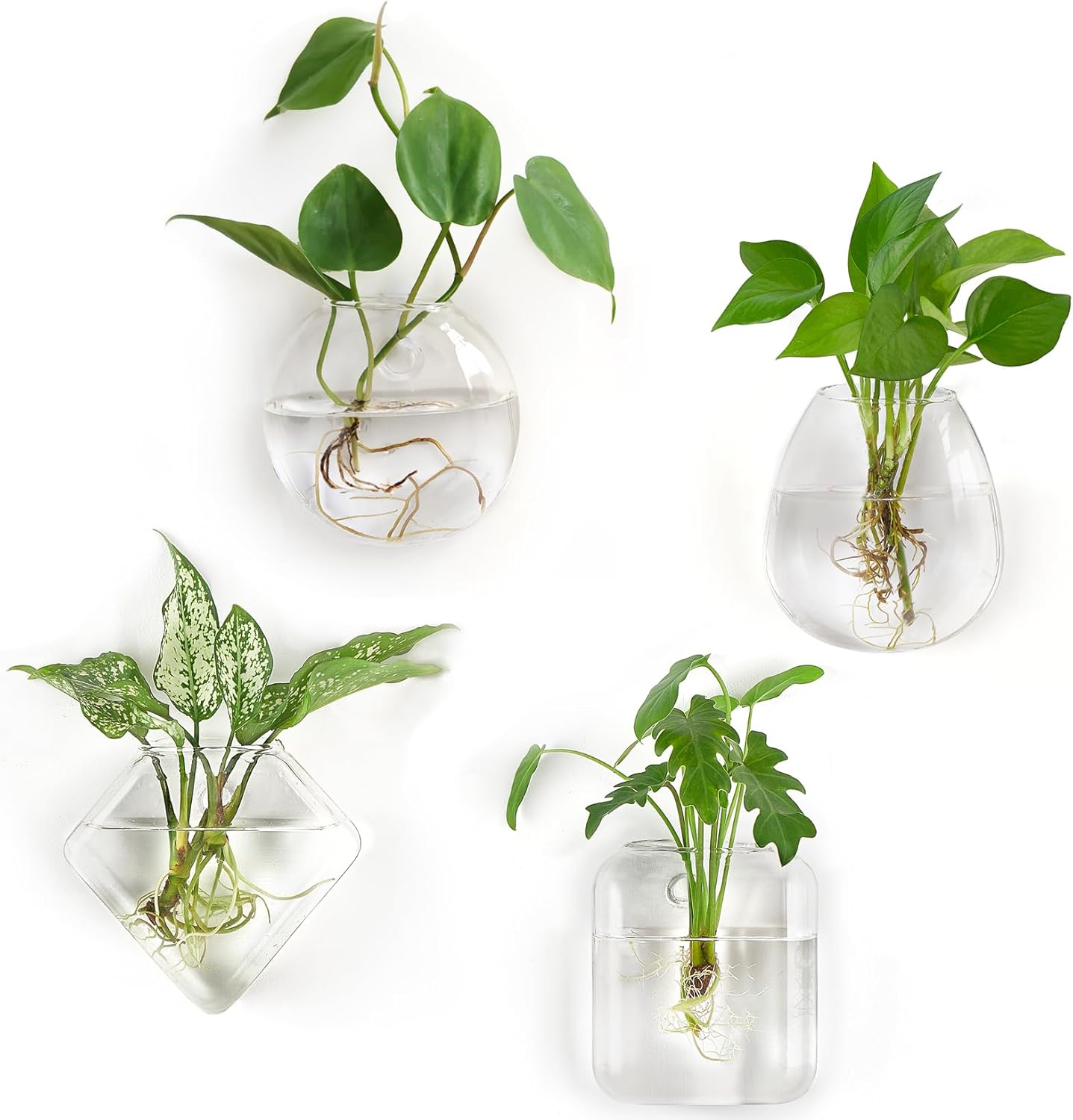 Set 4 Macetas Terrario Vidrio para Plantas Interiores