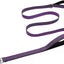 Correa perro 6ft 2 asas acolchadas reflectante morado