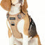 Arnés perro ajustable suave mango vertical 2 clips marrón