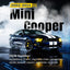 Soportes amortiguación puerta trasera Mini Cooper 02-14