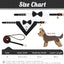 Conjunto collar y correa perro esmoquin con moño