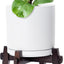Maceta cerámica soporte madera cilíndrica 10pulg color blanco