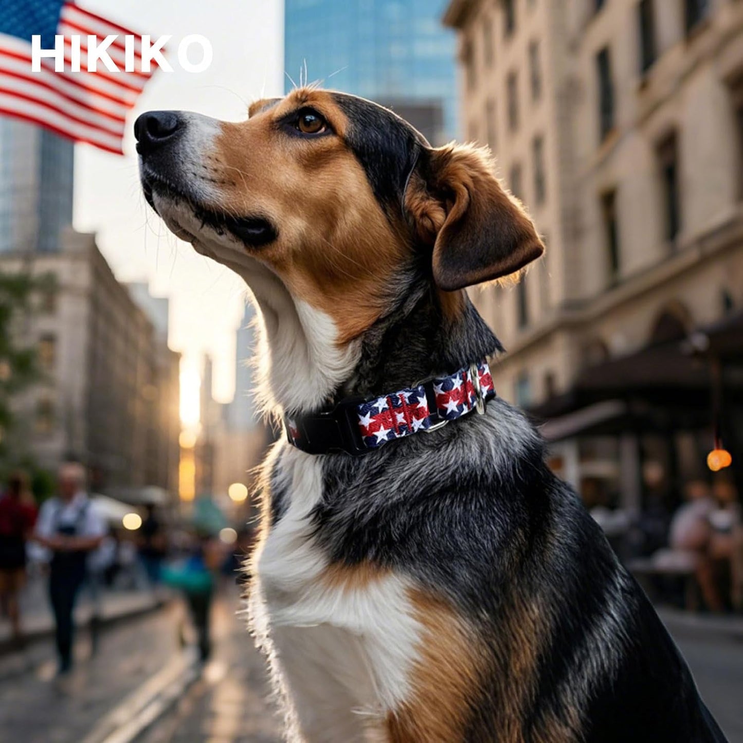 Collar Martingale con Bandera Hebilla Ajustable Perros Grande