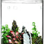Tarro terrario vidrio 4.7x7pulg con tapa suculentas