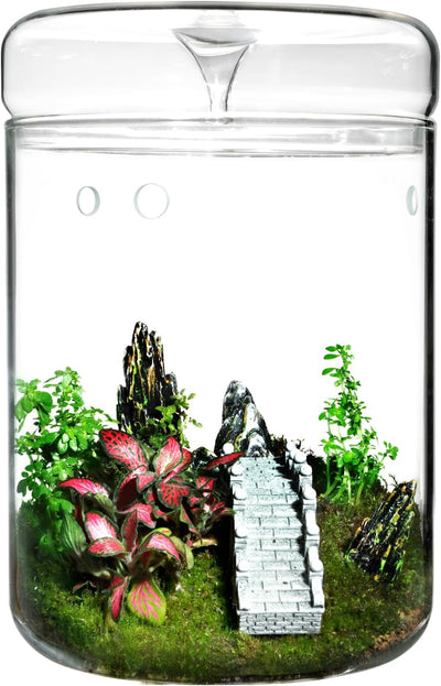 Tarro terrario vidrio 4.7x7pulg con tapa suculentas
