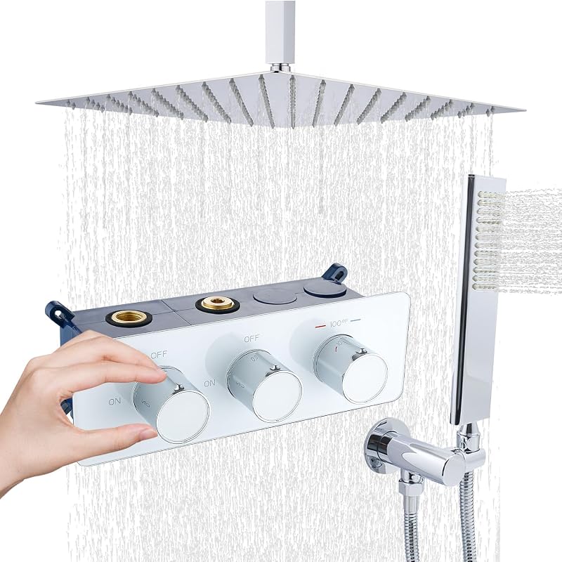 Sistema ducha lluvia cuerpo completo 12pulg techo doble