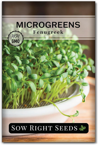 Semilla fenogreco microgreens cultivo interior sin equipo