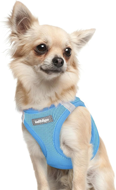 Arnés reflectante perro extra pequeño hebilla seguridad azul