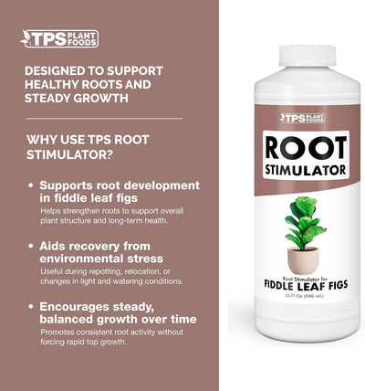 Estimulador raíces higos con algas y probióticos 32oz