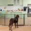 Barrera para perros puerta plegable 30pulg escaleras
