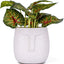 Maceta cerámica marrón 5.5" para plantas decoración hogar