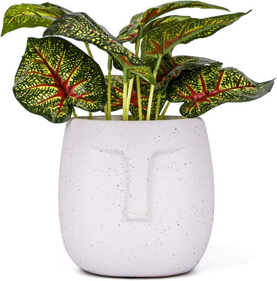 Maceta cerámica marrón 5.5" para plantas decoración hogar