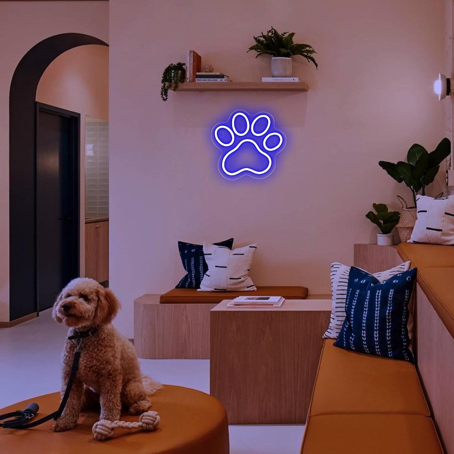 Letrero neón LED USB para gato y perro hogar