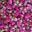 Flores secas aromáticas lavanda rosa para velas y manualidades