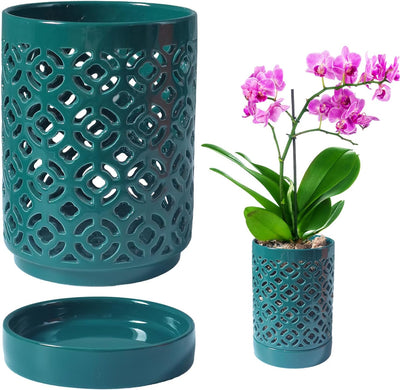 Maceta orquídea 4" con agujeros y platillo