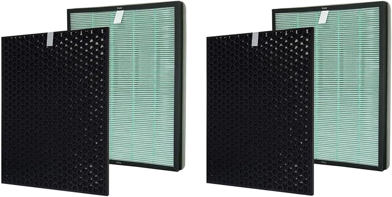 Set 2 filtros H13 True HEPA para RabbitAir BioGS 2.0