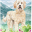 Bandera jardín Goldendoodle flores montaña multicolor