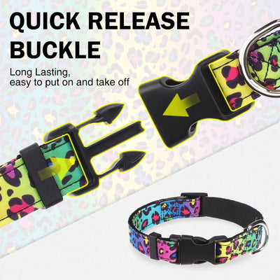 Juego collar y correa perros pequeños ajustable 5ft