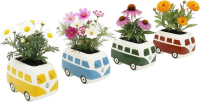 Kit 4 macetas cerámica retro con semillas flores