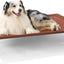 Cama elevada perro XL malla transpirable antideslizante