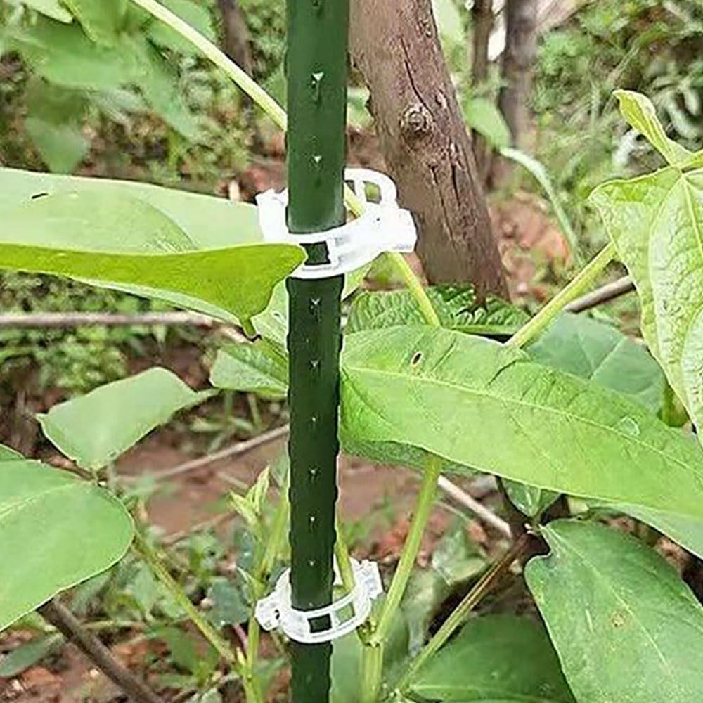 100 Clips Plástico Blanco para Plantas Trepadoras Jardín