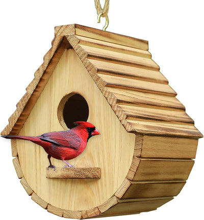 Casa pájaros madera natural diseño pinzón azul jardín