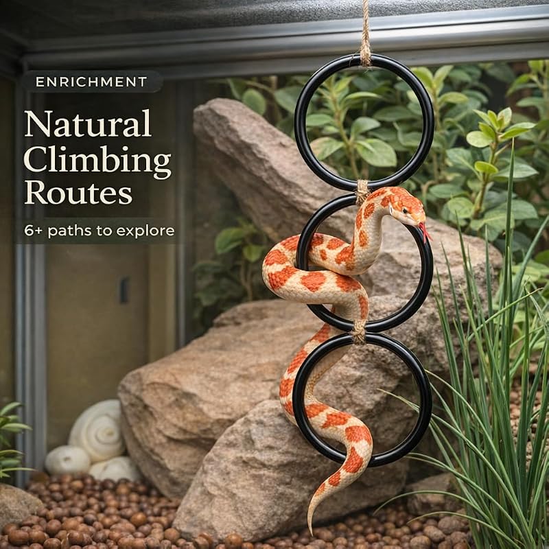 2 Anillos Escalada Serpiente Jaula Terrario