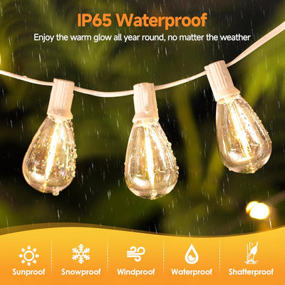 Tira luces LED 25ft exterior Edison S11 regulable impermeable