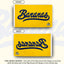 Bandera béisbol Savannah Bananas 3x5ft poliéster