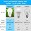 Pack 24 bombillas LED E26 A19 blanco día