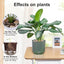 Guijarros decorativos 10lb para jardín acuarios