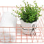 Cesta alambre color oro rosa cocina despensa