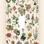 Placa flor silvestre cubierta interruptor luz baño decoración