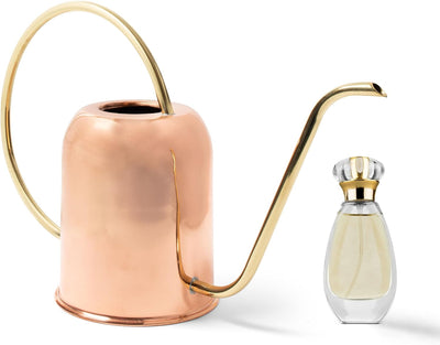 Regadera cobre boquilla larga 48oz para plantas interiores y jardín