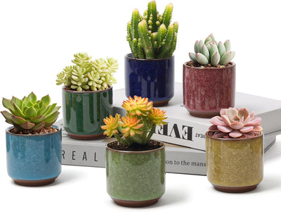 Macetas cerámica suculentas 2.5" set 6 con drenaje