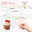 200 Pinchos Bambú Decorativos para Aperitivos y Boda