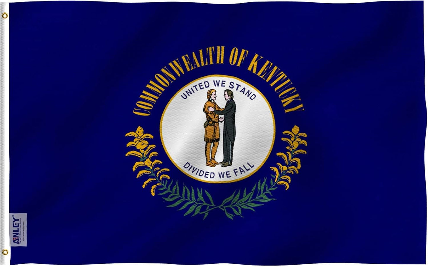 Bandera Kentucky 3x5ft poliéster ojales latón