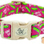 Collar perro cachorro diseño dill pickle rosa ajustable