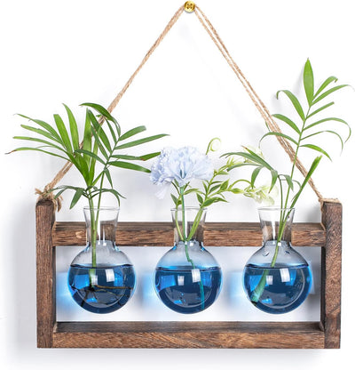 Soporte propagación plantas madera terrario regalo