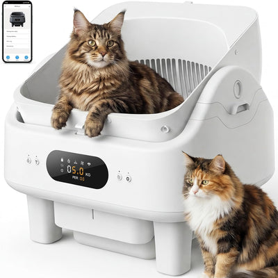 Caja arena inteligente para gatos WiFi 5G 2.4G 10 sensores