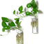 Maceta vidrio terrario florero colgante decoración hogar